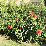 Casa Alessia Semesterbostad
