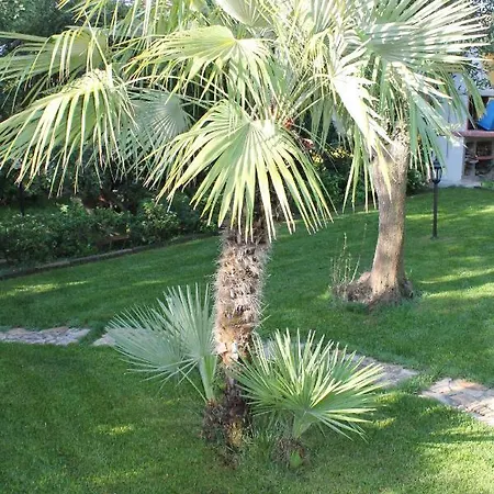 Casa Alessia * Вилласимиус