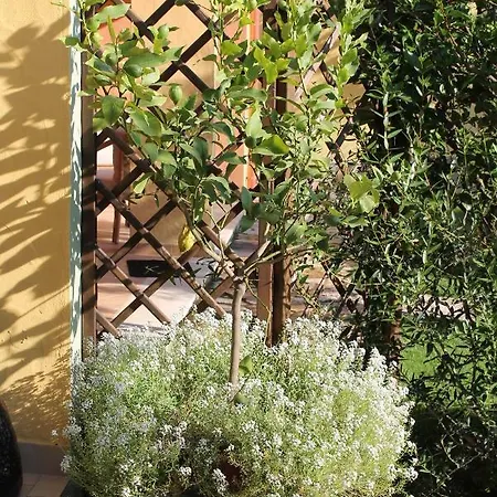 Casa Alessia بيت للعطل *
