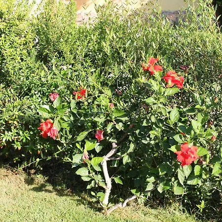 Casa Alessia בית נופש